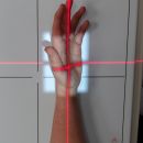 Mittelhand_seit_3.jpg